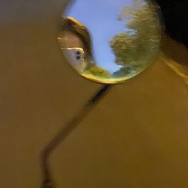 夏日的一次尝试 demo