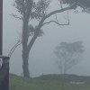 山頂洞