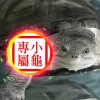 小龜專屬 「To My Sister」