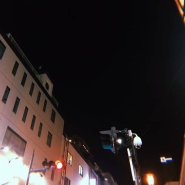 麋鹿雪橇