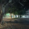 星辰大海 (online-audio-converter.com)