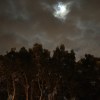 [original song] 夜晚來臨時The Night is Coming ( 中元節特別版）