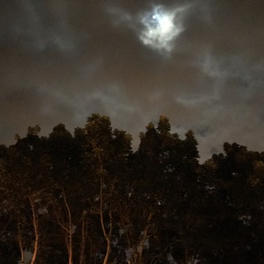 [original song] 夜晚來臨時The Night is Coming ( 中元節特別版）