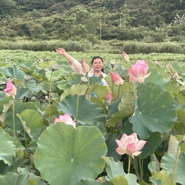 愛在夏天.Cover
