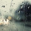 初雨