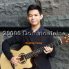 20000 Dominosteine，(指彈吉他)