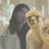大墩十一街