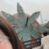 行動代號：草莓蛋糕