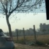 騎鼠南下