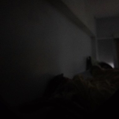 早起的狗兒有貓吃