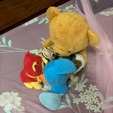 蠢蛋派對