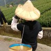 水勒