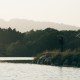 沒有顏色的島