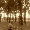 breeze (demo)