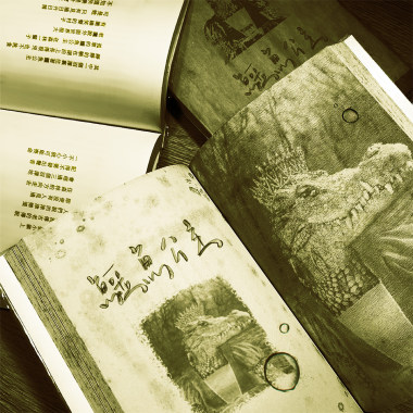 鱷魚公主