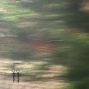 仲夏裡和你