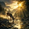🎼【如鹿切慕溪水】~詩篇42篇(0414)