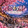 《櫻花希望樹》|善意不需要留下名字,它會在另一個人的心裡繼續生長