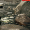 Refresh | Live Session