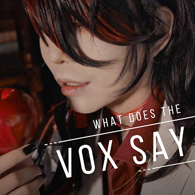 What does the Vox say