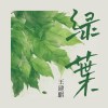 綠葉