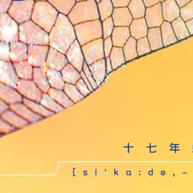 Cicada 十七年蟬