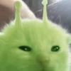 小宇宙大英雄