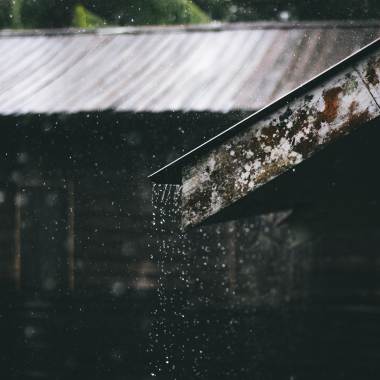 端午的雨