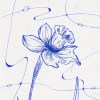 夏璐璐 — 水仙（demo）