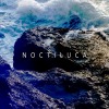 Noctiluca 夜光蟲