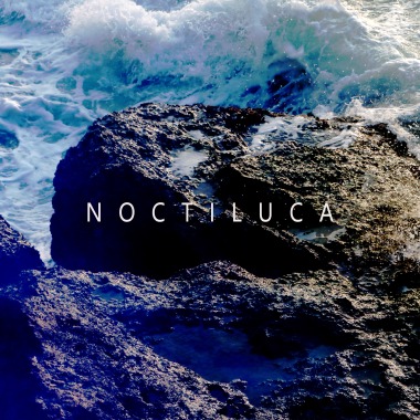 Noctiluca 夜光蟲