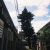 每天都在想辦法demo