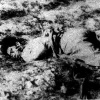 Revenge from 1947