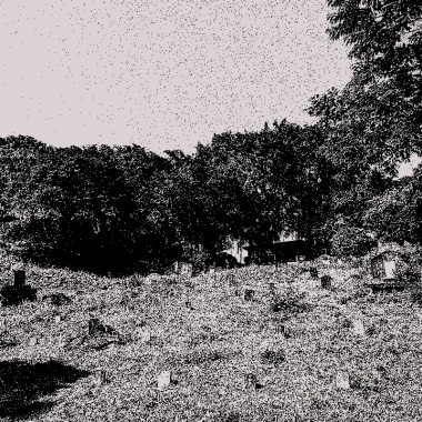 the final purges