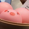 園高校歌（改編）