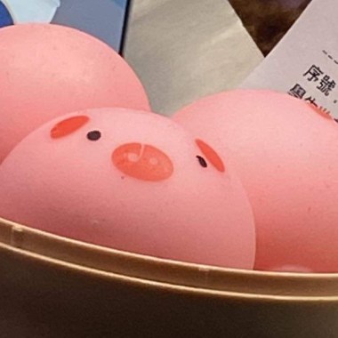 園高校歌（改編）