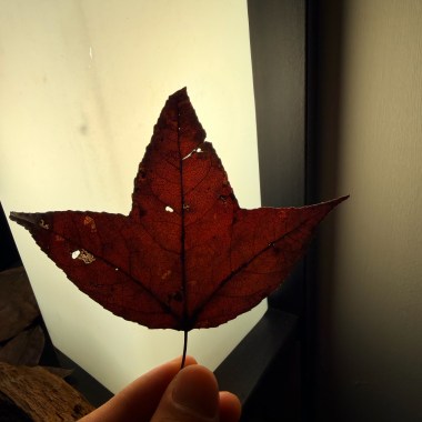 又過了一個秋 demo