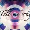 S.T.F 抒天弗 - Tell Me Why // feat.Dory C