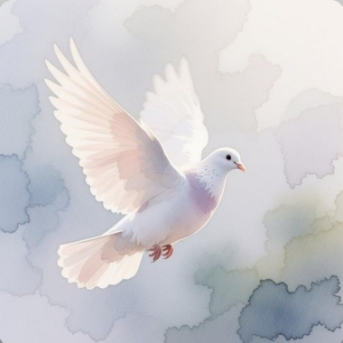 祈和平（For Peace)