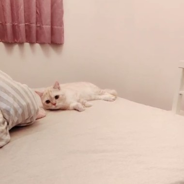 LanLan_Wake_Up