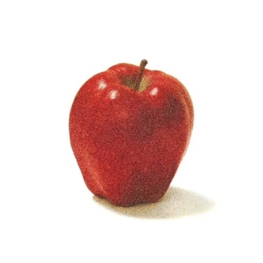 Edward suffering Apple