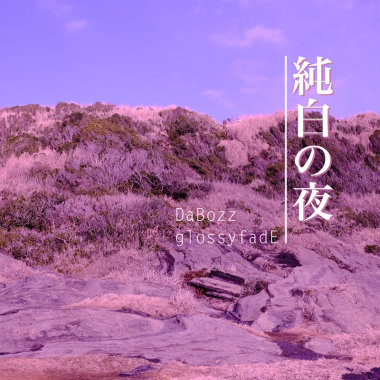 纯白之夜