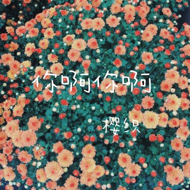 你啊你啊自弹自唱版（cover魏如萱）