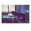 01. 秋光 / Affection
