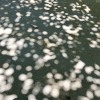 還是想要帶你去看這個世界
