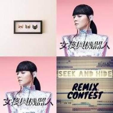 Seek and Hide Remix_SandozFan_DnB