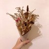 漂鳥 (致敬 泰戈爾)