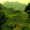 Folk Wisdom (dub mix feat. J. Budrevo)