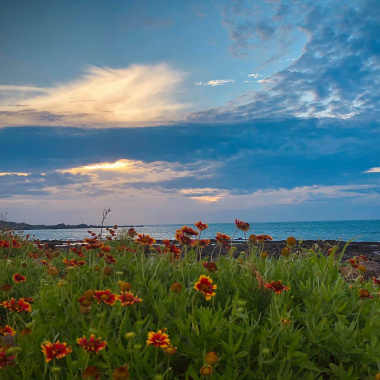 02_陽光海岸Sunshine Coata