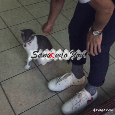 Sam w/o You